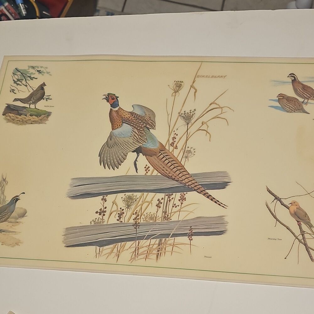 Vintage Eckelberry Bird PlacematSet Quail Pheasant Wildlife Sporting Lodge Decor - Picture 7 of 10